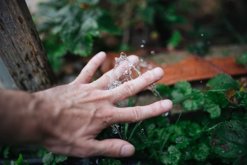 Hand in a spray of water from a garden hose