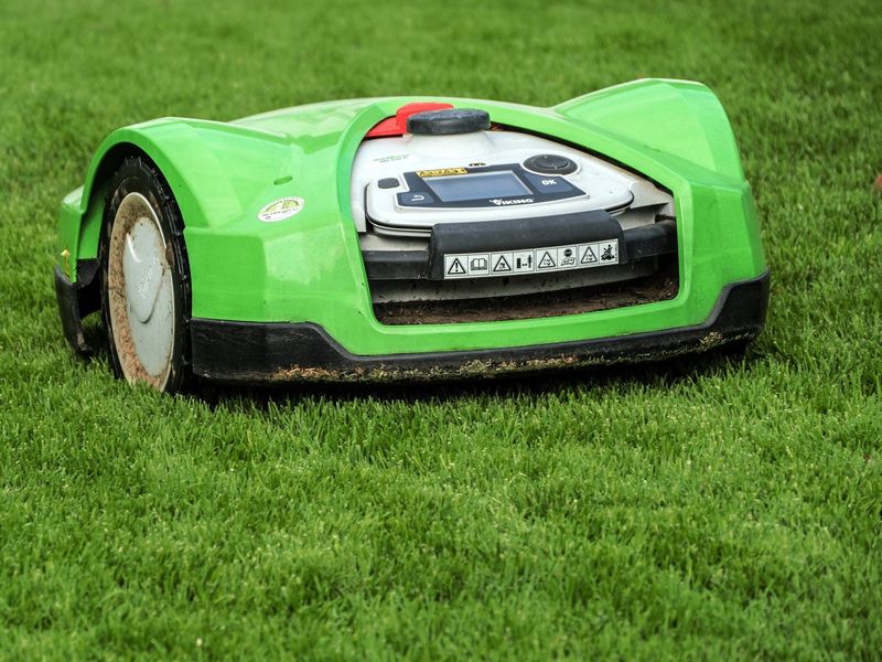 Compact green robot mower on a small lawn
