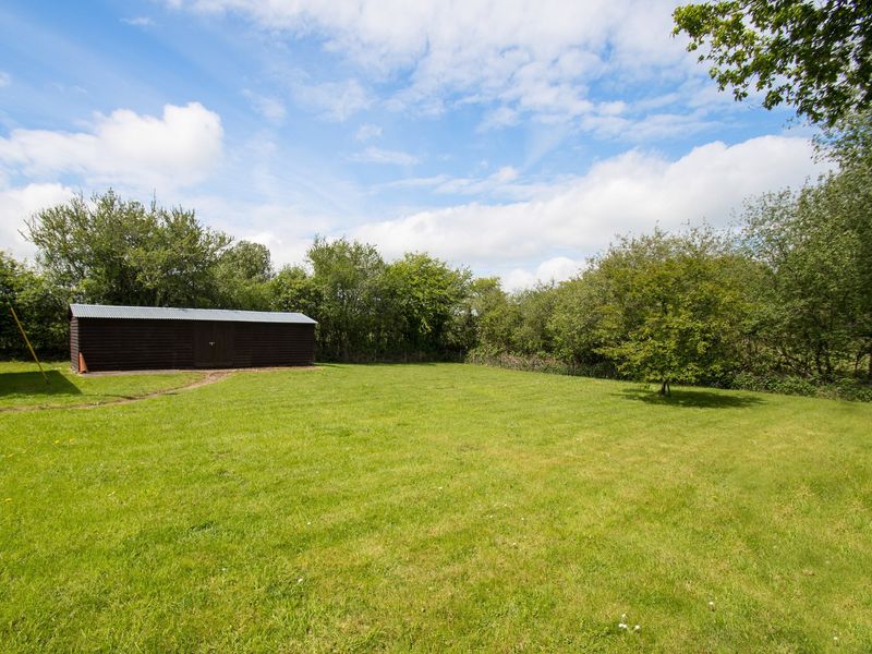 Large open lawn with trees around the edge