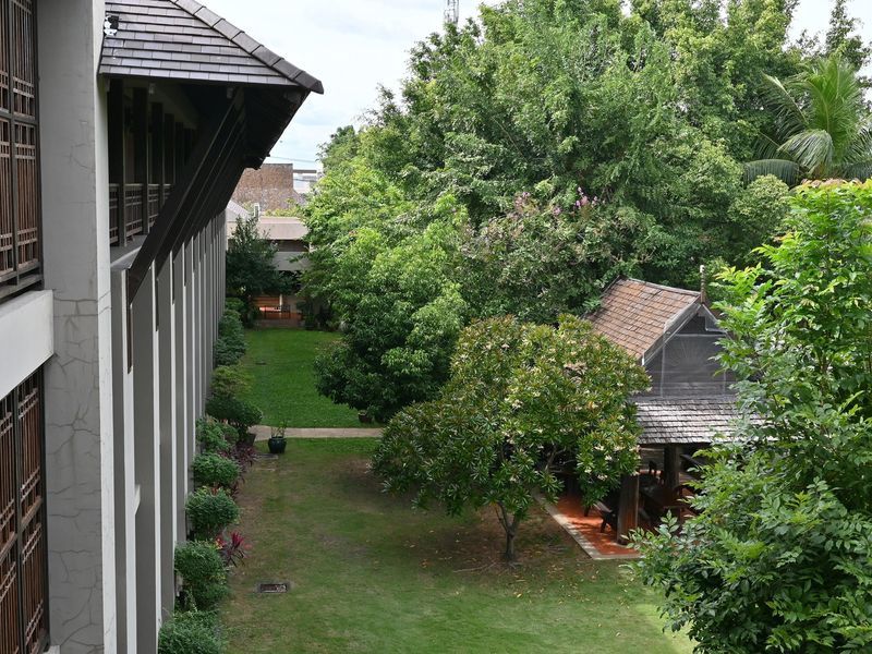 Narrow courtyard garden with trees, paths and a shaded lawn between buildings