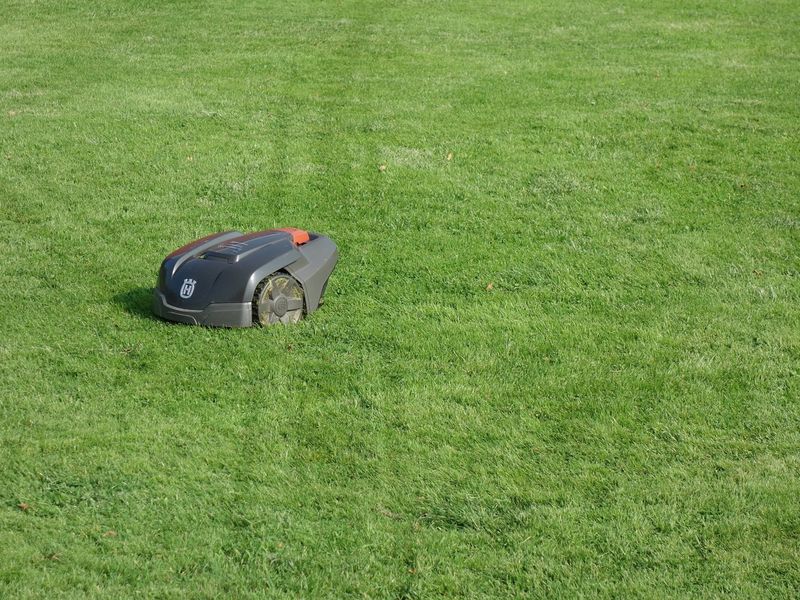 Husqvarna Automower on a lawn with visible wheel track marks